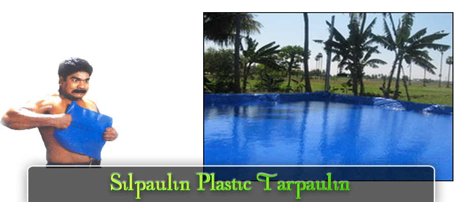plastic